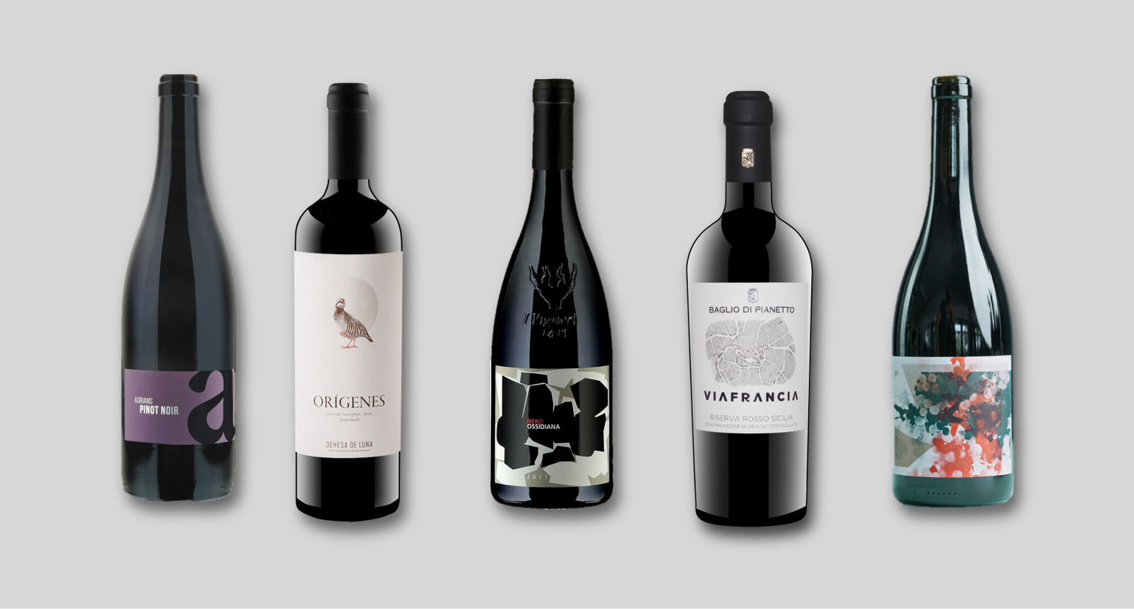 Bio/Biodynamisch Rotwein