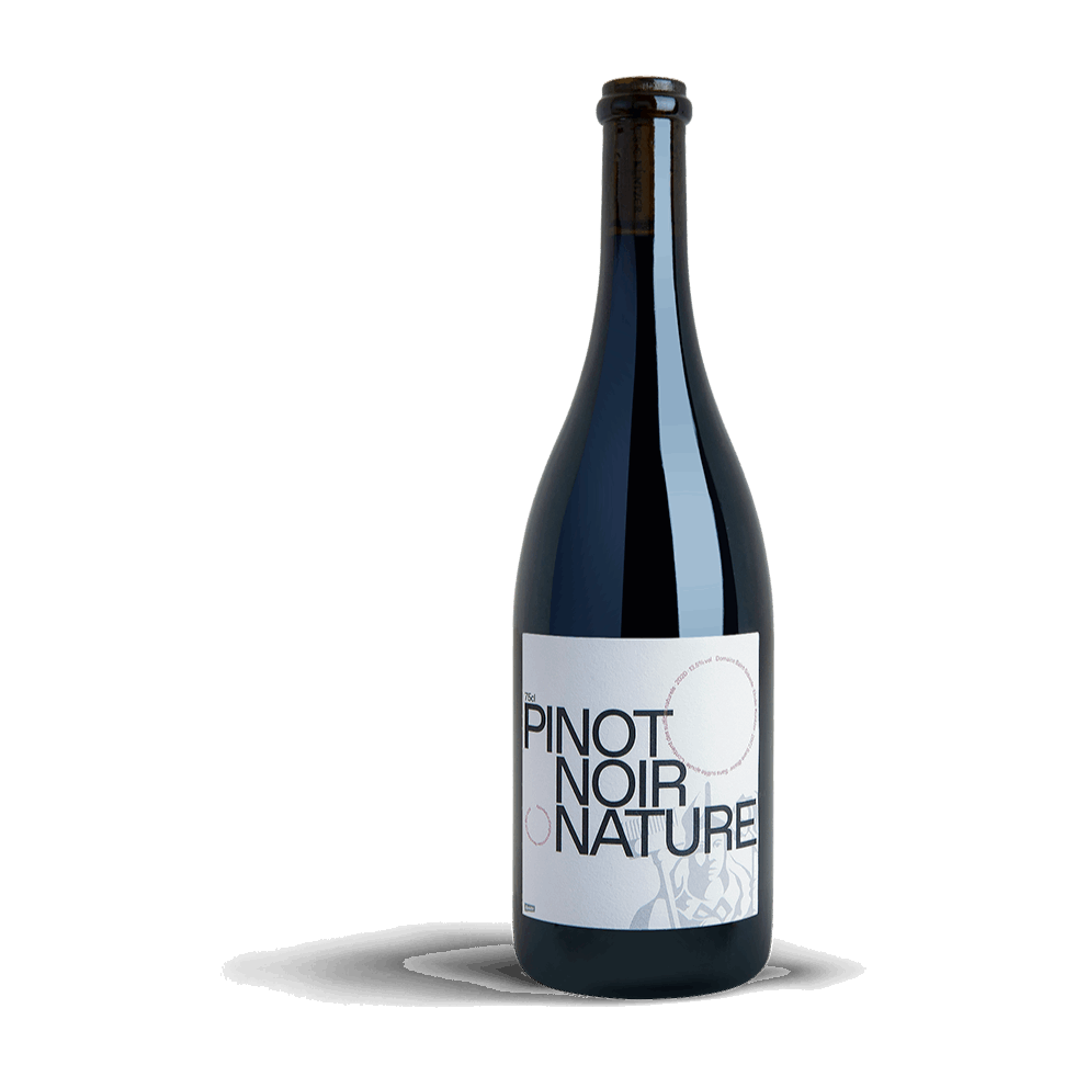 SAINT-SÉBASTE - Pinot Noir Nature 2022 Bottel, unfiltrierter Naturwein aus der Schweiz, elegante Aromen von Johannisbeeren.